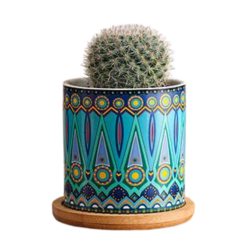 Pot Planter Aqua Round Ceramic for Succulents & Herbs 1pce 7.5cm 