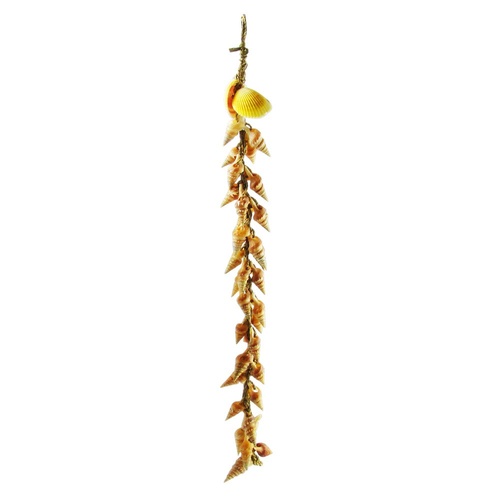 Nest of Snail Shells 43cm x 3cm Tropical & Natural Tones, Connected by Rope, Beach Theme
