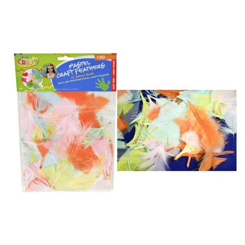14g Assorted Pastel Coloured Art and Craft Feathers