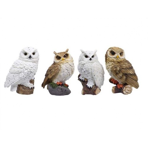 17cm Realistic Owl Complete Collection of 4 Owls White and Brown on Log / Rocks