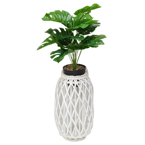 Monstera Plant & Wicker Holder 51cm Large White Standing or Hanging Stand