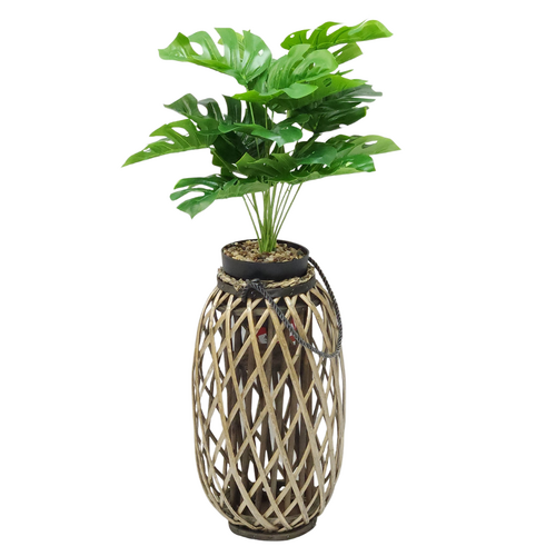Monstera Plant & Wicker Holder 51cm Large Natural Standing or Hanging