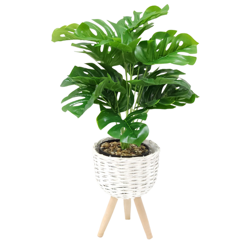 Monstera Plant & White Wicker Planter Pot Holder 30cm Standing Display Set