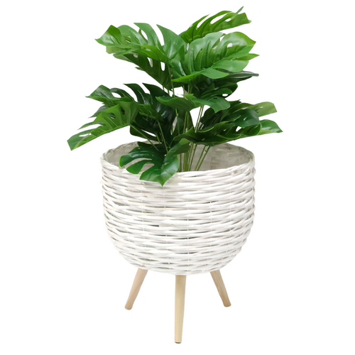 Monstera Plant & White Wicker Planter Pot Holder 40cm Standing Display Set