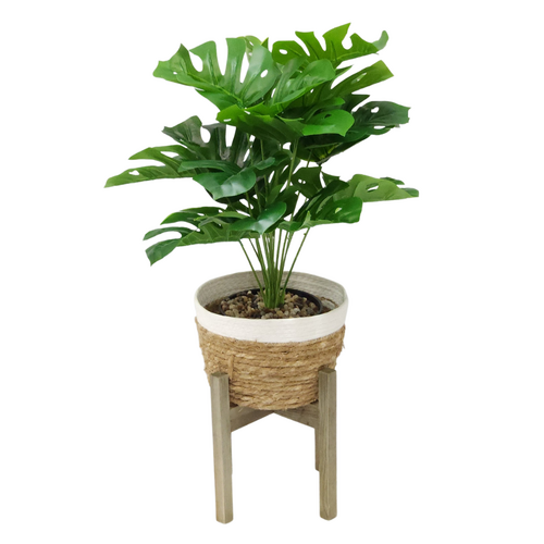 Monstera Plant & Stand Holder Set 35cm Seagrass Basket Holder Wooden Legs