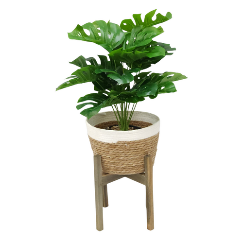 Monstera Plant & Stand Holder Set 40cm Seagrass Basket Holder Wooden Legs