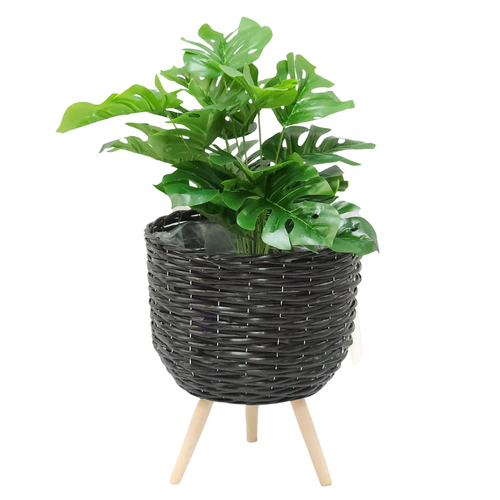 Monstera Plant & Black Wicker Planter Pot Holder 40cm Standing Display Set