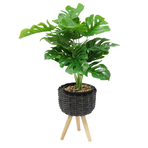 Monstera Plant & Black Wicker Planter Pot Holder 30cm Standing Display Set
