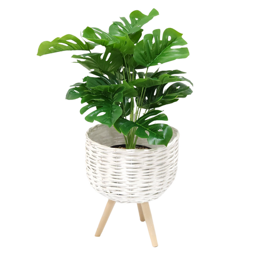 Monstera Plant & Standing Pot Holder Set 35cm White Wicker Basket with Legs