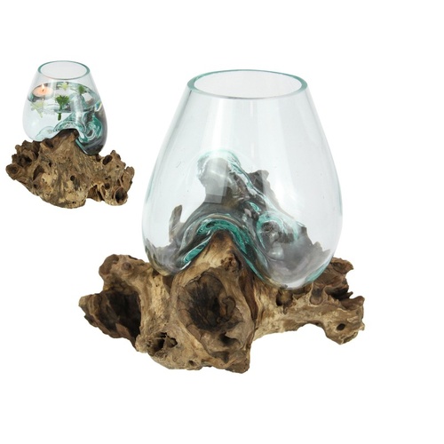 22cm Glass Bowl on Natural Driftwood Stand - Decorative Accent Piece