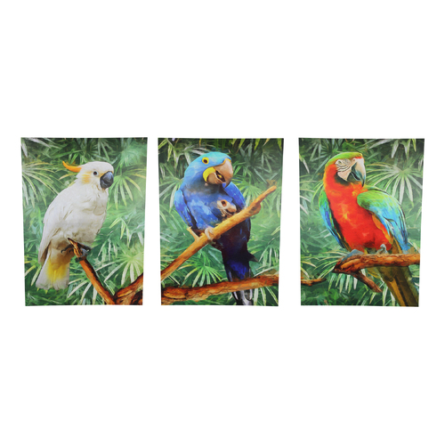 3x Canvas Prints Set Tropical Birds in Forest Scene 50x70cm on Frame Ready to Hang