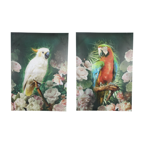 2x Canvas Prints Set Tropical Birds in Forest 50x70cm Size Stretched on Frame