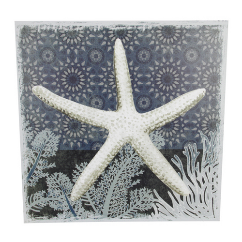 Canvas Print Nautical Sealife Starfish 50x50cm Stretched & Framed Ready to Hang