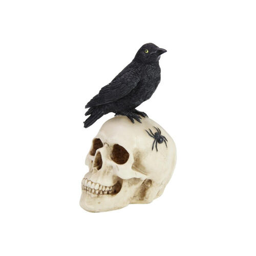 27cm Skull With Black Crow Resin Decor Man cave Ornament Gift
