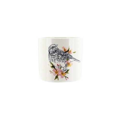 Bird Side Pot Round Planter 13.5x13.5x12cm Ceramic Glazed Finish, Herbs, Flowers