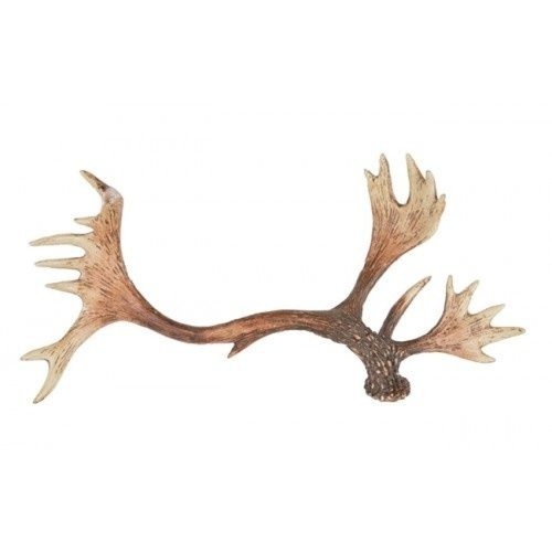 38x19x11.5cm Poly Resin Deer Antler Realistic Colouring HH3258