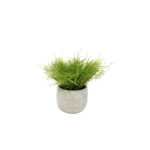 1pce 18cm Succulent in Cement Pot Artificial Plant Greenery Table Home Decor