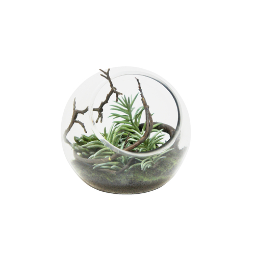 1pce 19cm Succulent In Glass Vase Artificial Plant Display Home Decor